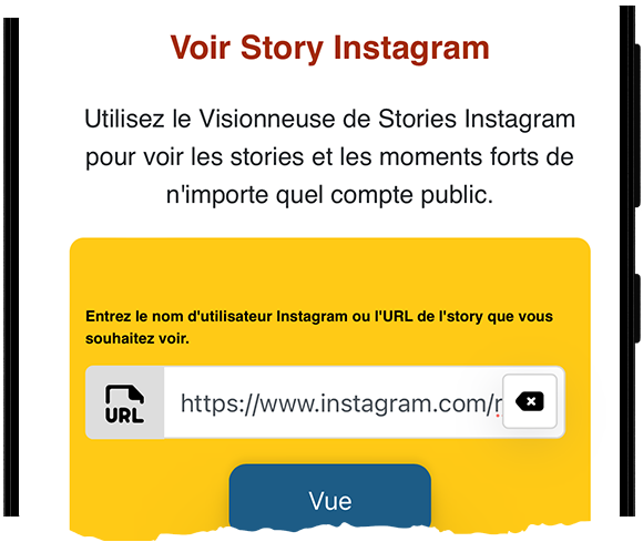 voir story instagram