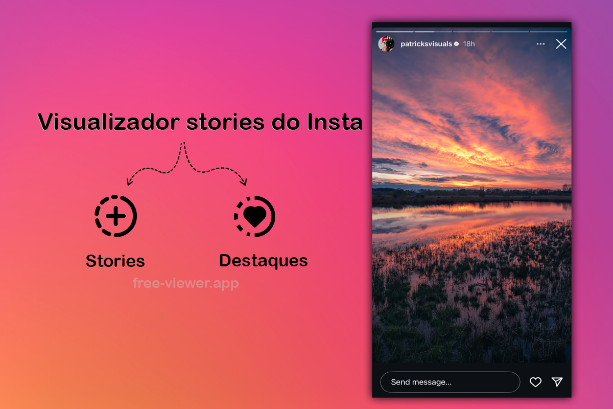 ver story do instagram anônimo