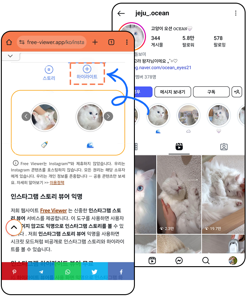 익명의 Instagram 하이라이트 뷰어