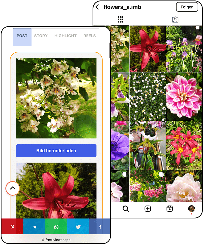 instagram post viewer