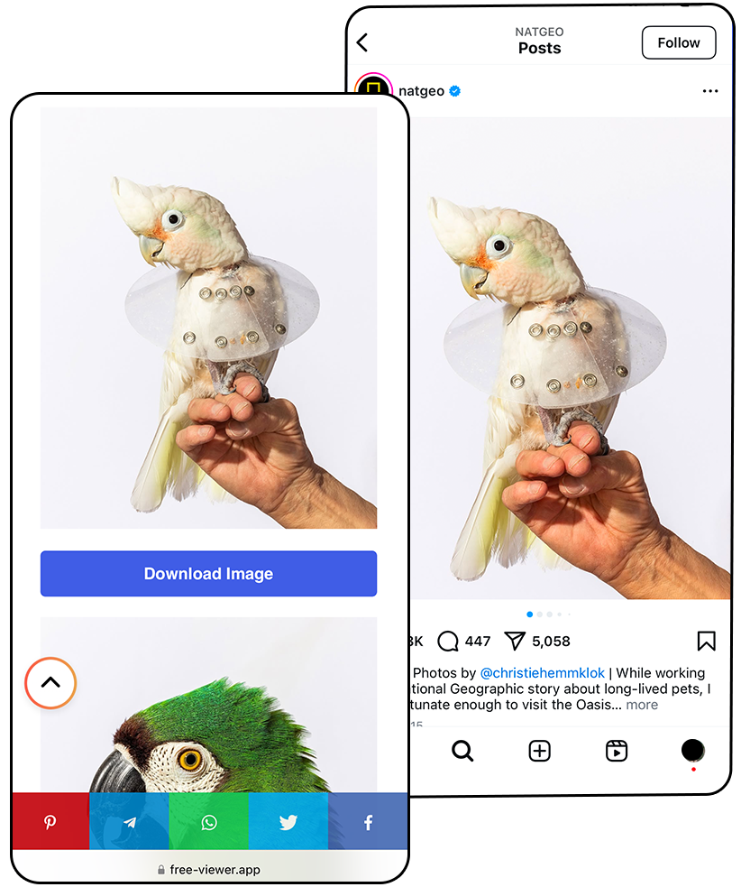 instagram photo viewer