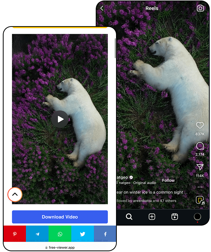 instagram reel viewer