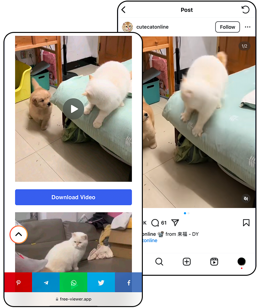 instagram video viewer