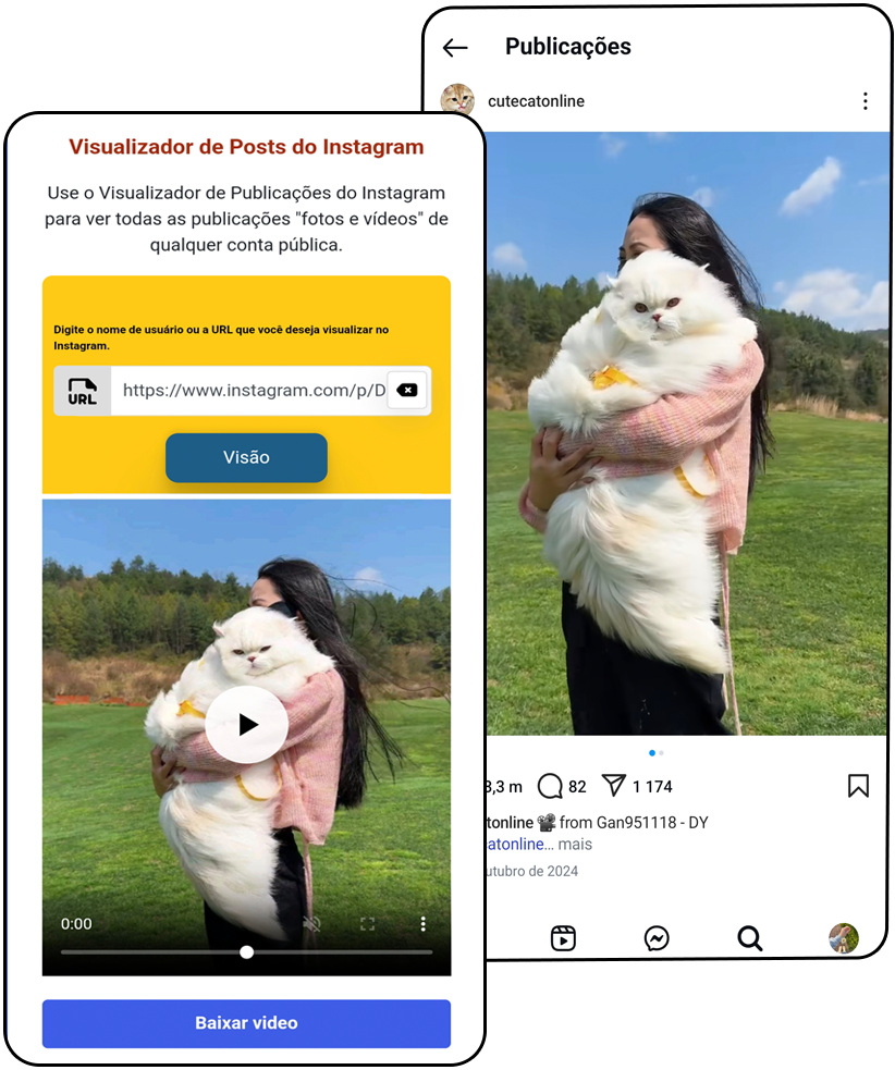 ver postagem instagram anonimamente