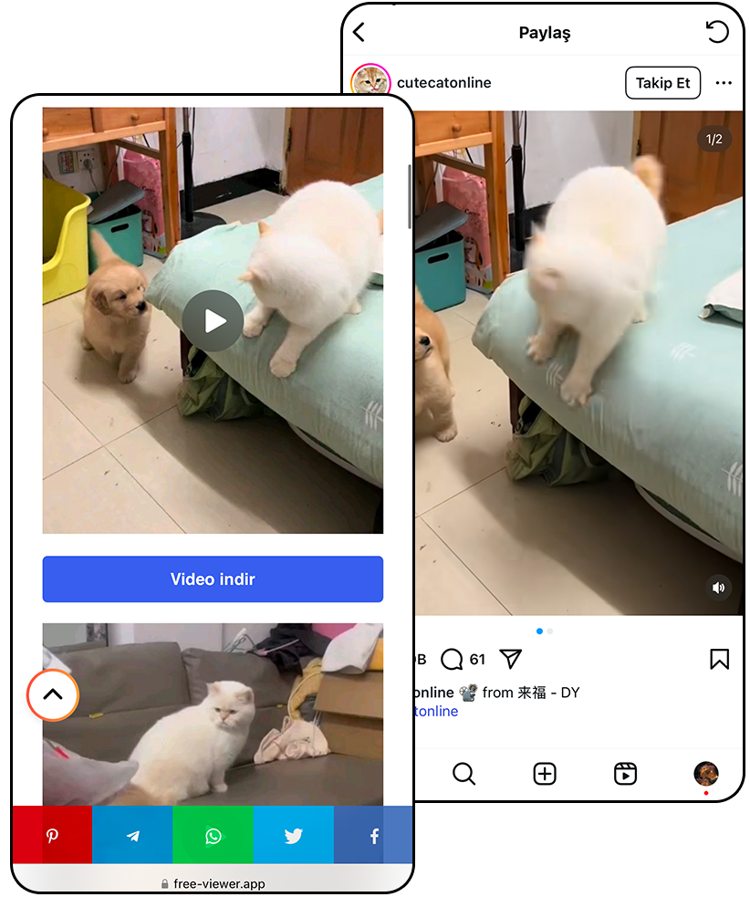 Instagram Video Goruntuleyici