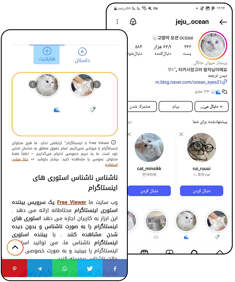 بیننده استوری اینستاگرام