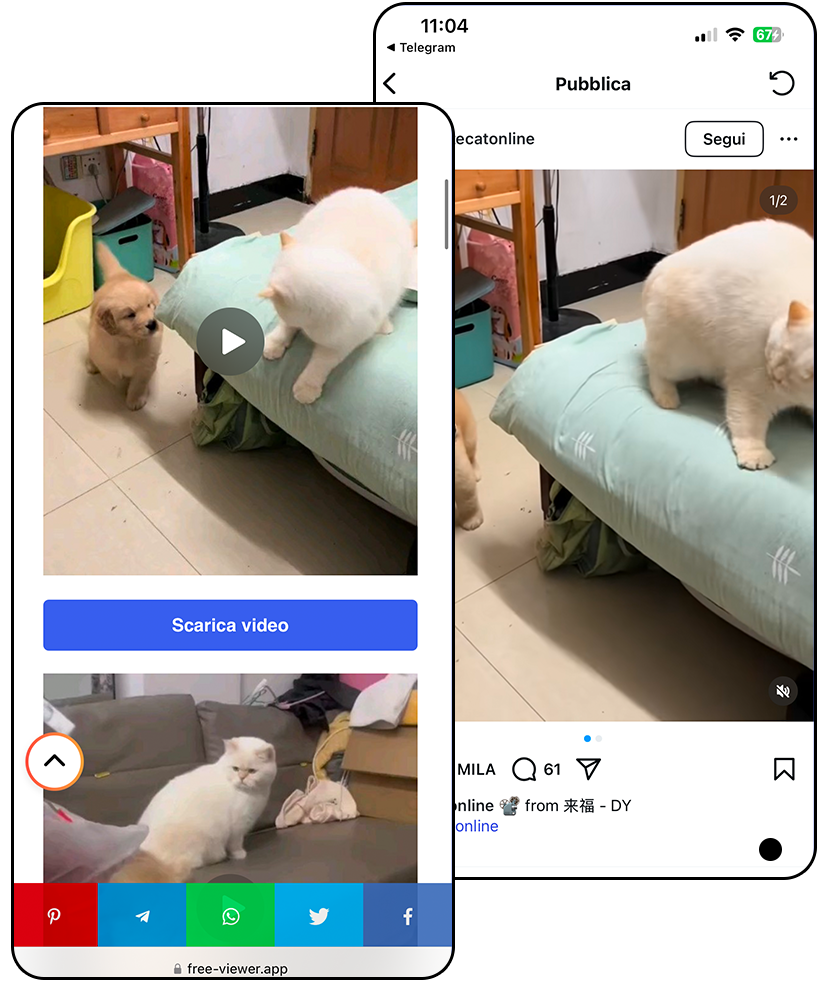 Vedere video Instagram
