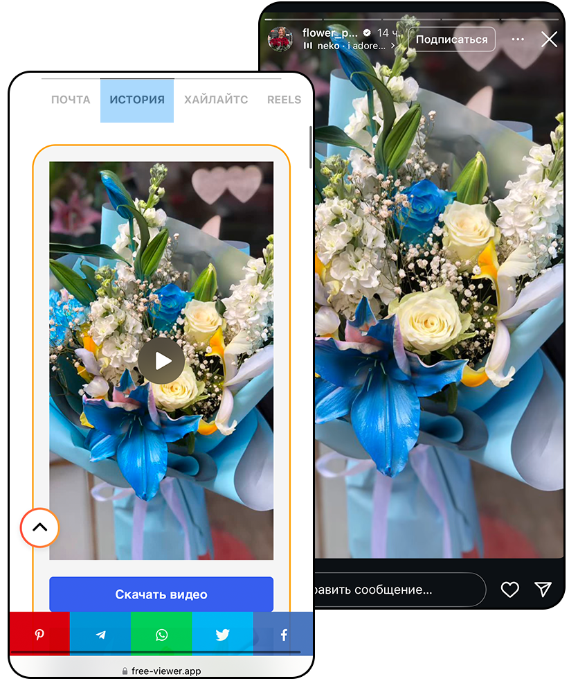 Просмотрщик историй в Instagram