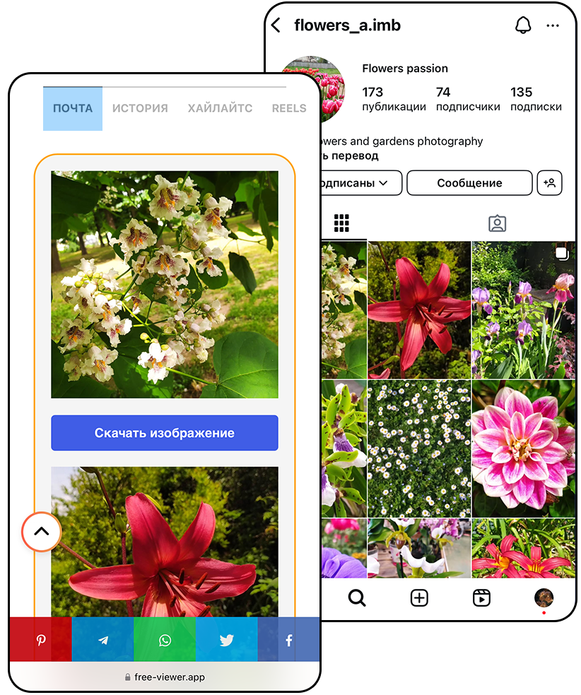 Просмотрщик постов в Instagram